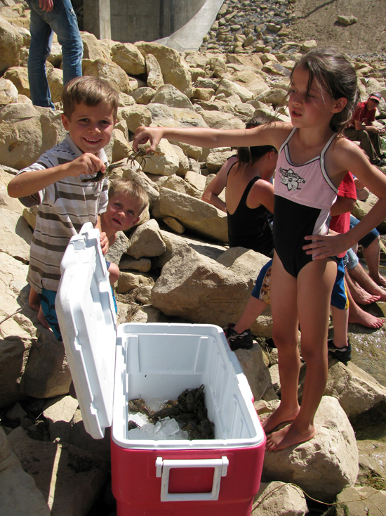 2009 White Family Reunion at Scofield, UT